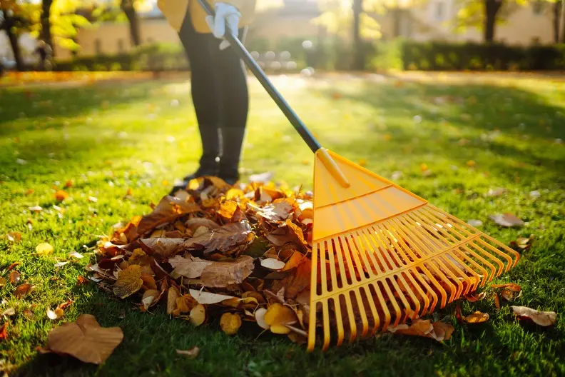 Excellent Yard Maintenance Riverdale CA