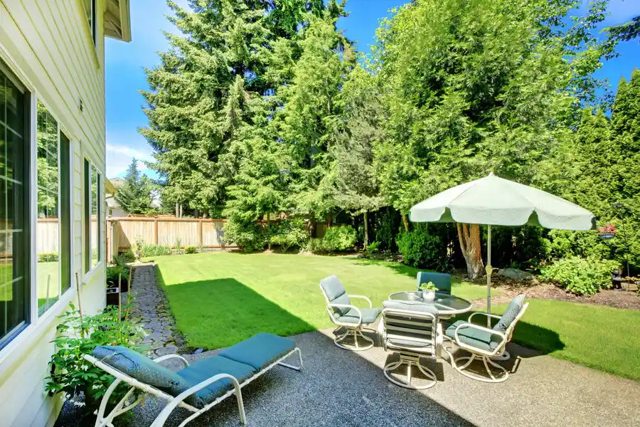 How To Choose Plants That Thrive In Your Backyard Landscape Riverdale CA