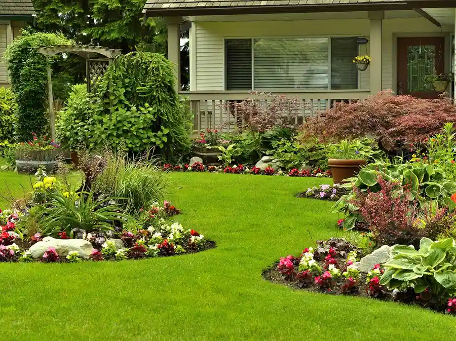 How To Choose Plants That Thrive In Your Backyard Landscape in Riverdale CA