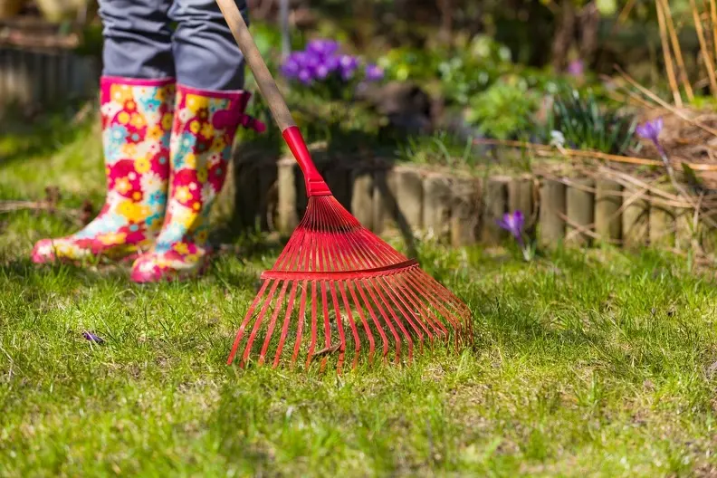 How Yard Maintenance Services Keep Your Lawn Free From Weeds Riverdale CA