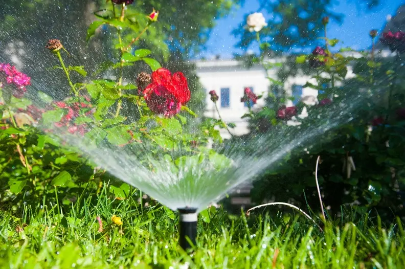 Premium Sprinkler Installation Riverdale CA
