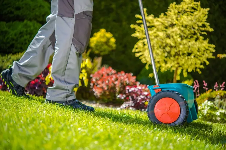 Top-rated Yard Maintenance Riverdale CA